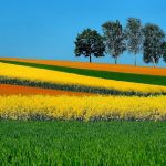 بحران تغییرات اقلیمی